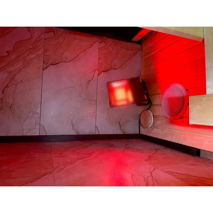 SAUFLEX RGB LED-SCHIJNWERPER, MET BEDIENINGSEENHEID