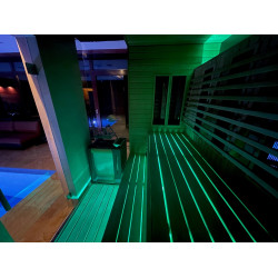 SAUFLEX RGB LED-SCHIJNWERPER, MET BEDIENINGSEENHEID 