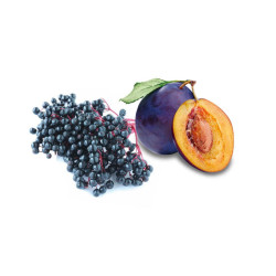 HARVIA saunageurconcentraat, vlierbes en pruim 100 ml 