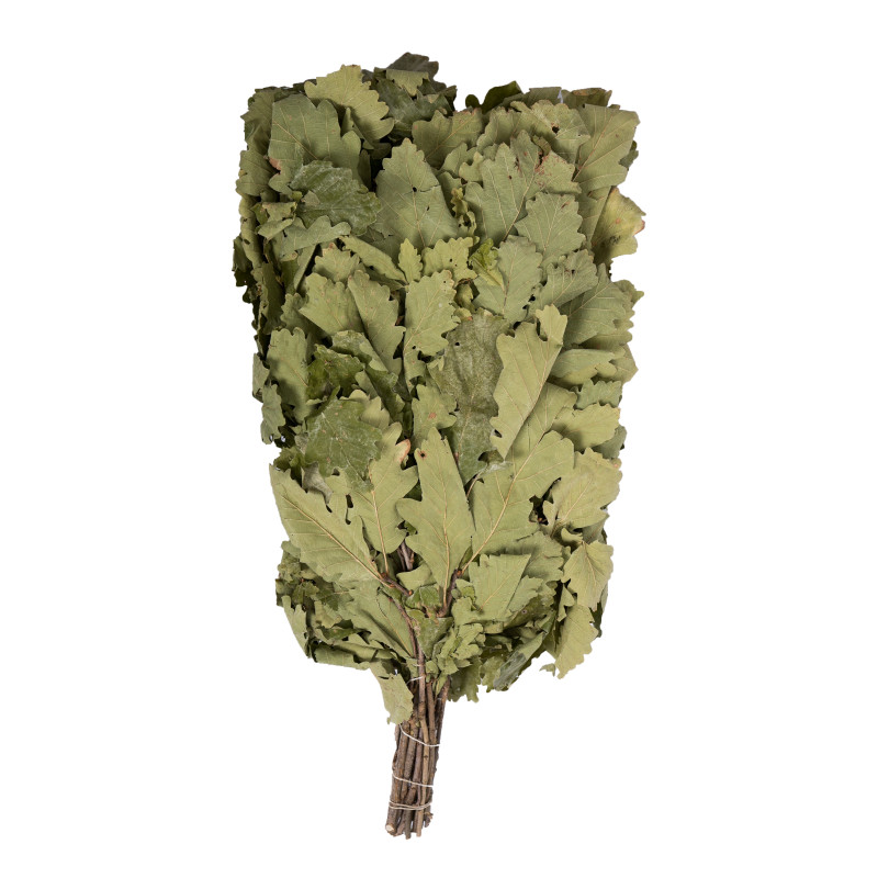 Eikenhouten saunagarde