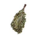 Berken - Eucalypt saunagarde - 0