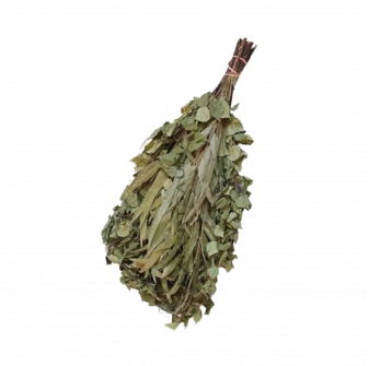 Berken - Eucalypt saunagarde