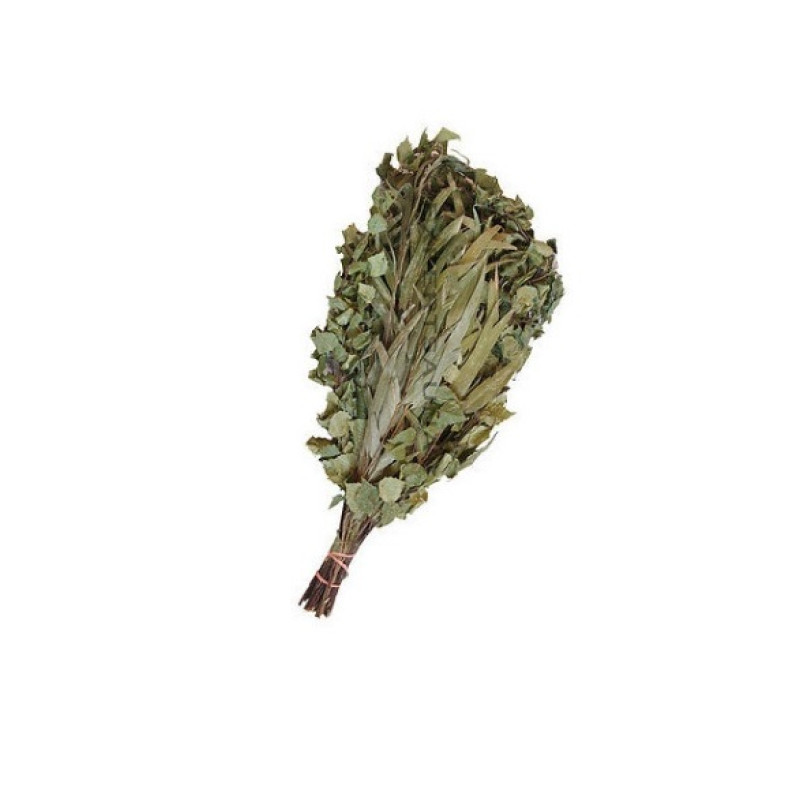 Berken - Eucalypt saunagarde