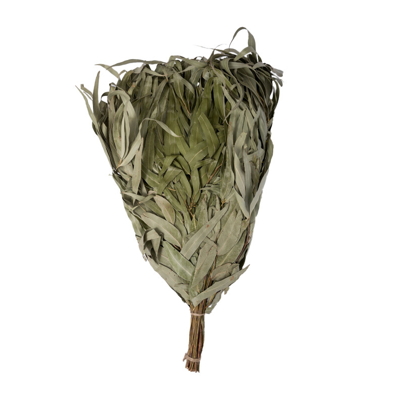 Eucalyptus saunagarde