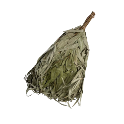 Eucalyptus saunagarde 