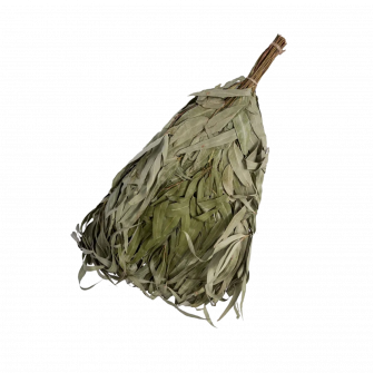 Eucalyptus saunagarde