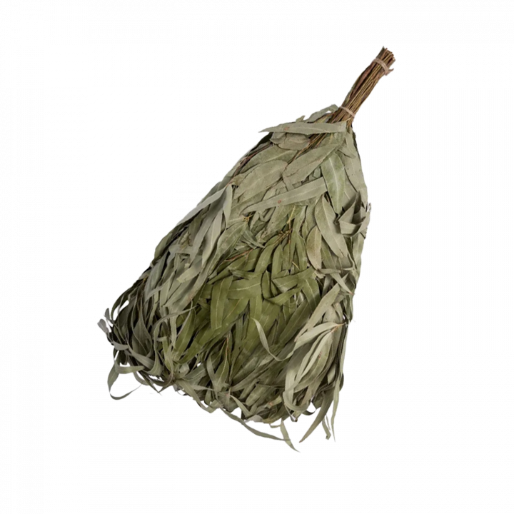 Eucalyptus saunagarde