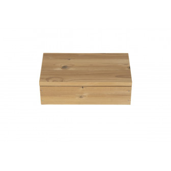 Harvia beschermdoos voor LED-systeemapparatuur, thermo-pine, SAC00401