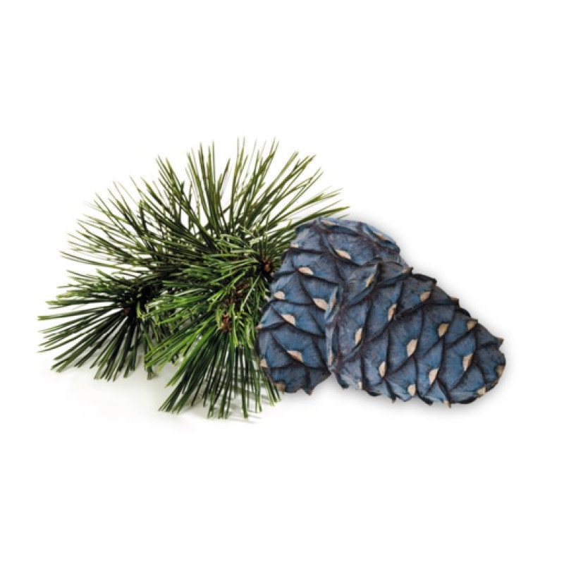 HARVIA saunageurconcentraat, arolla-den 1 l