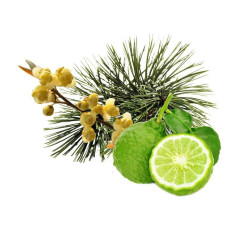 HARVIA saunageurconcentraat, arollapijnboom, bergamot en litsea cubeba 1 l  HARVIA saunageurconcentraat, arollapijnboom, bergamot en litsea cubeba 1 l