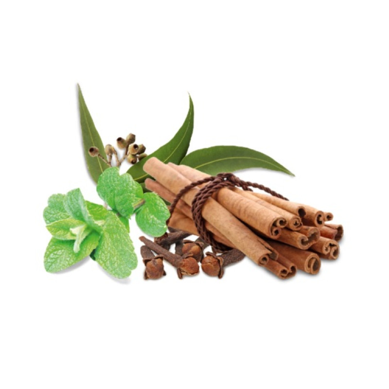 HARVIA saunageurconcentraat, kruiden en munt 1 l