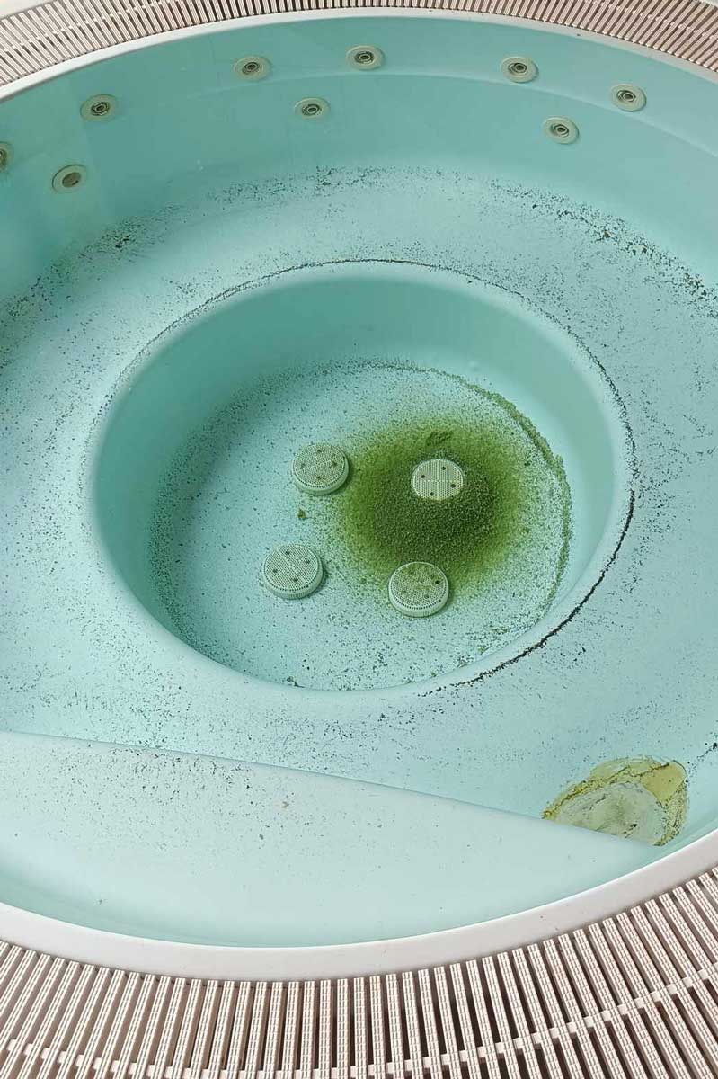 Vervuiling in het zwembad veroorzaakt door verwaarlozing, die moeilijk schoon te maken is, maar wel mogelijk.